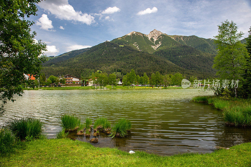 从野湖在奥地利阿尔卑斯山的山景