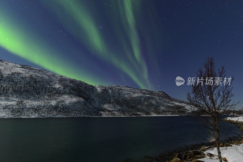 北极光挪威北部夜空中的北极光