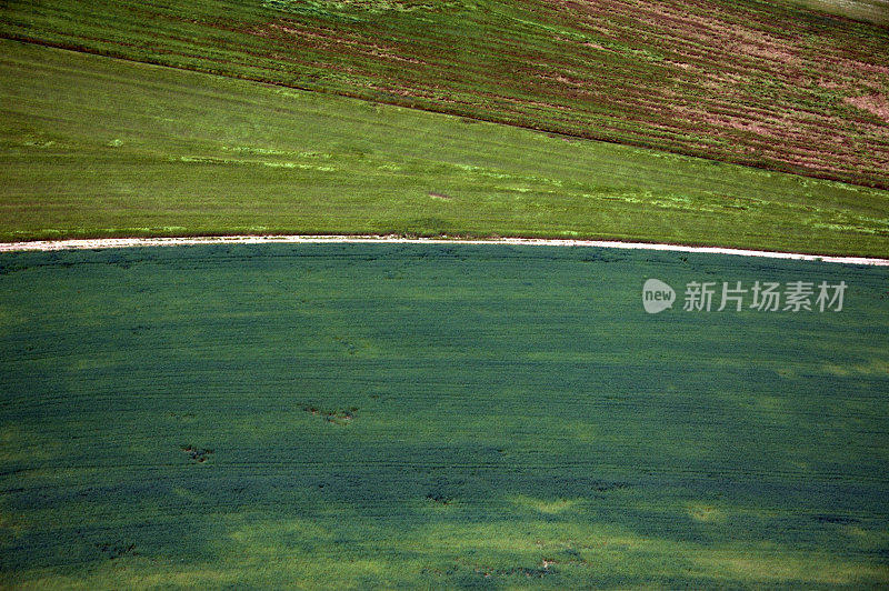 从直升机上看几何种植园