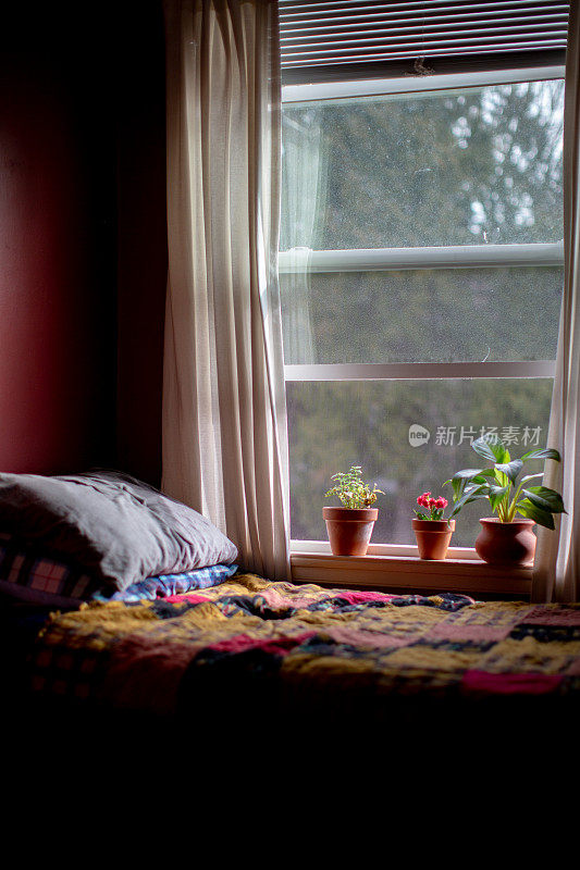 卧室早晨的阳光透过窗户