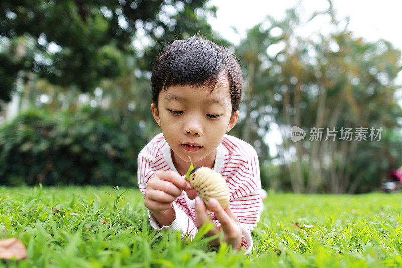 孩子有一只甲虫