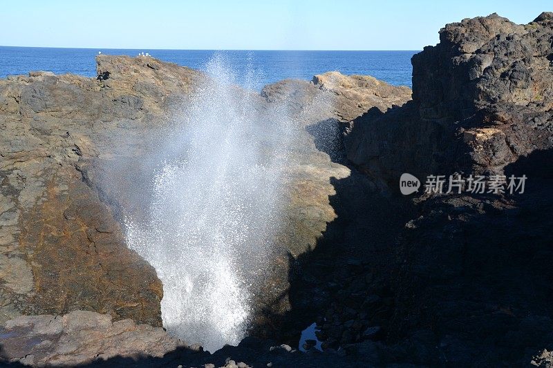 澳大利亚新南威尔士州Kiama气孔