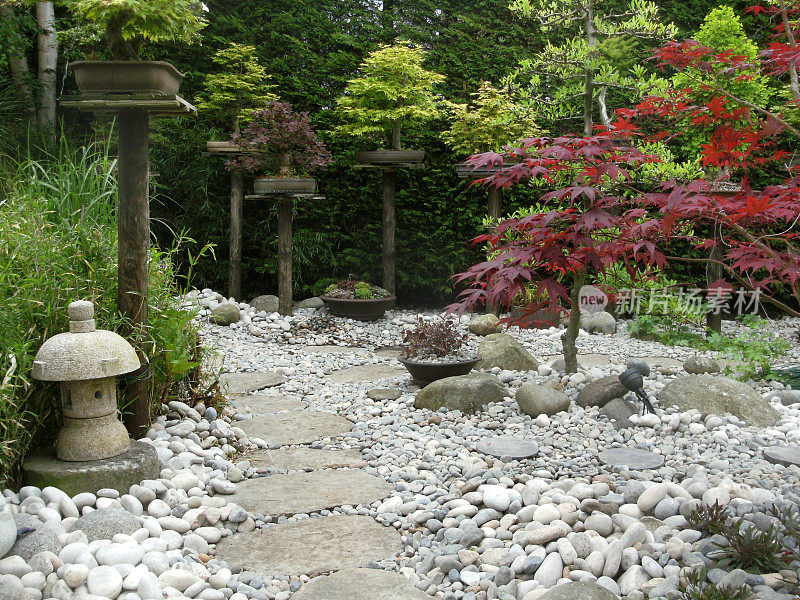 日本元素花园中的踏脚石路径图像，花岗岩灯笼，竹子，鹅卵石，盆景和日本枫树(槭树)