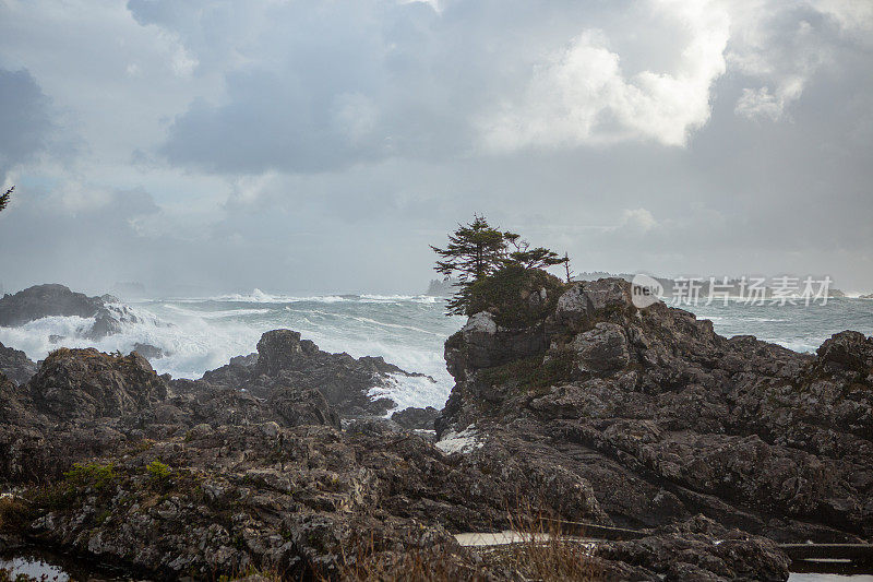 来自加拿大托菲诺的海浪撞击着岩石