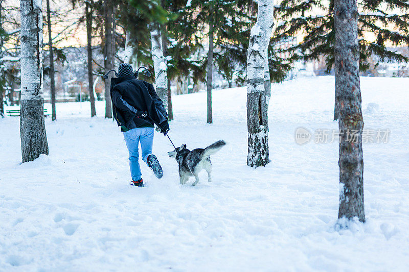 一个人和哈士奇狗在雪地上奔跑