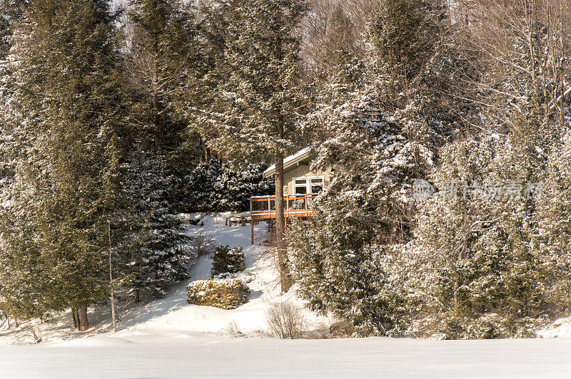 冬季的假日公寓——魁北克湖上森林里的木屋