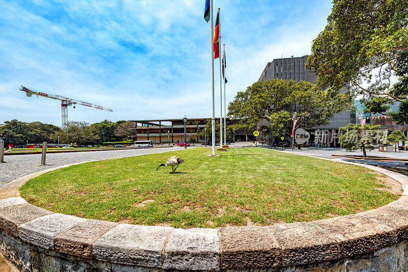 澳大利亚悉尼大学的主四合院建筑。