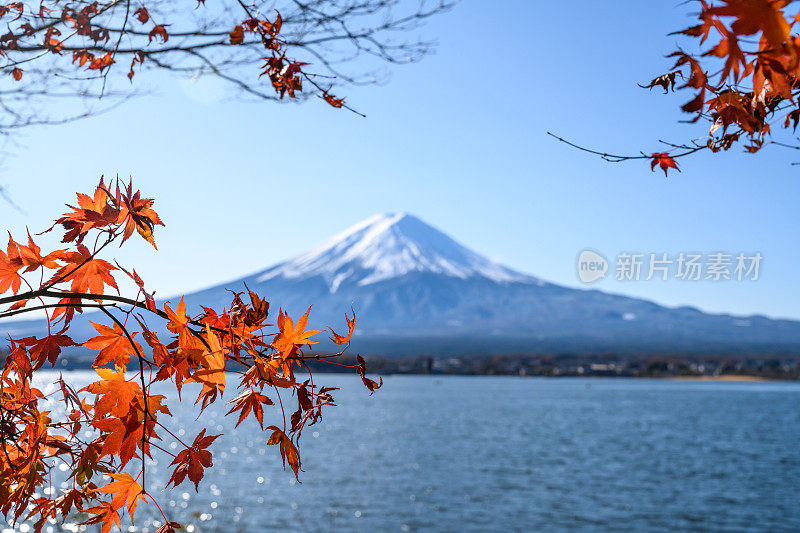 日本富士山的秋天