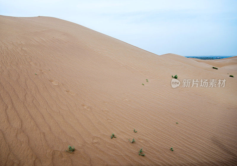 以海浪为背景