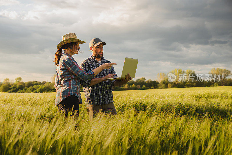 年轻的男农民和年轻的女农民拿着笔记本电脑站在田地里检查庄稼