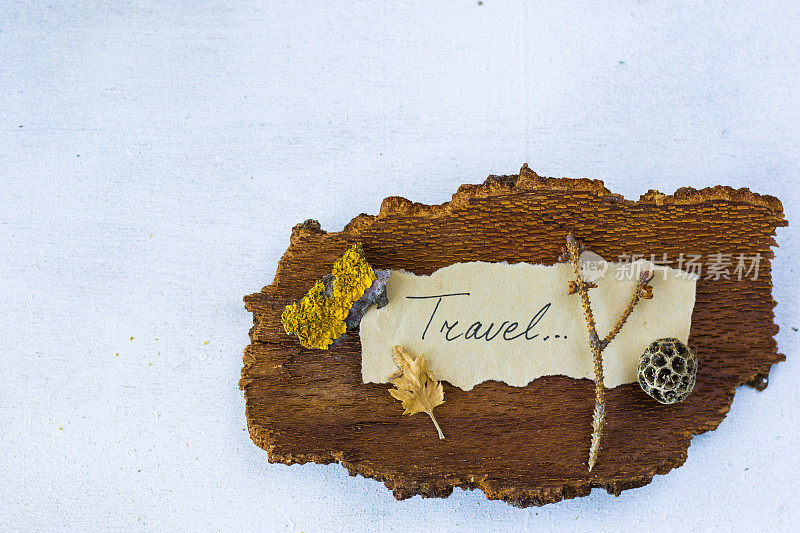 秋韵旅行的回忆，干枯的花草，复制粘贴空间，旧纸上的字句，植物标本馆主题。