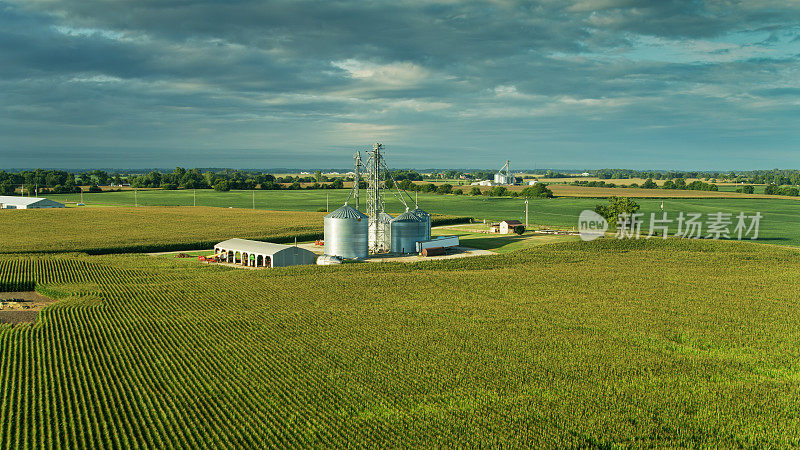 俄亥俄州被玉米包围的农场建筑