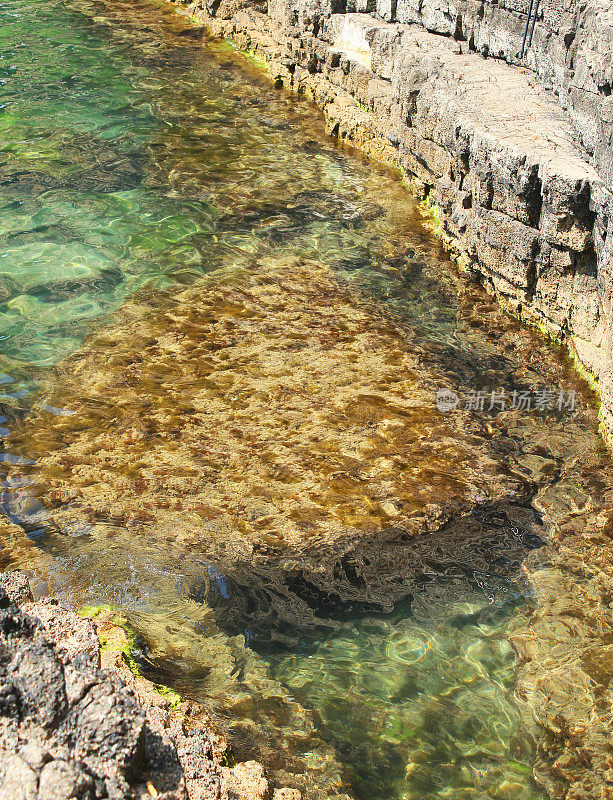 闪闪发光的苔藓浅海水域在Kerpe