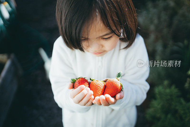 一个亚洲小女孩，手里拿着一把草莓