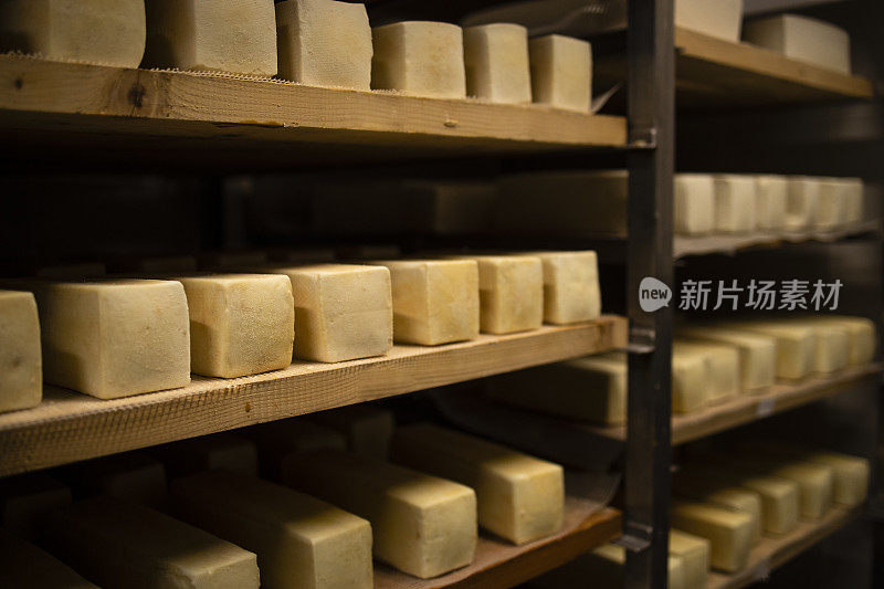 牛奶奶酪用牛奶或山羊奶制成的奶酪，储存在木架子上并任其成熟乳制品。