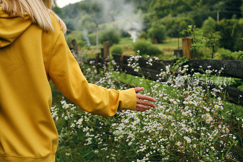 一个穿着黄色连帽衫的女孩轻轻地抚摸着乡间的白色野花。夏日漫步大自然。沿着这条小径徒步旅行。旅行和探索。健康的生活方式
