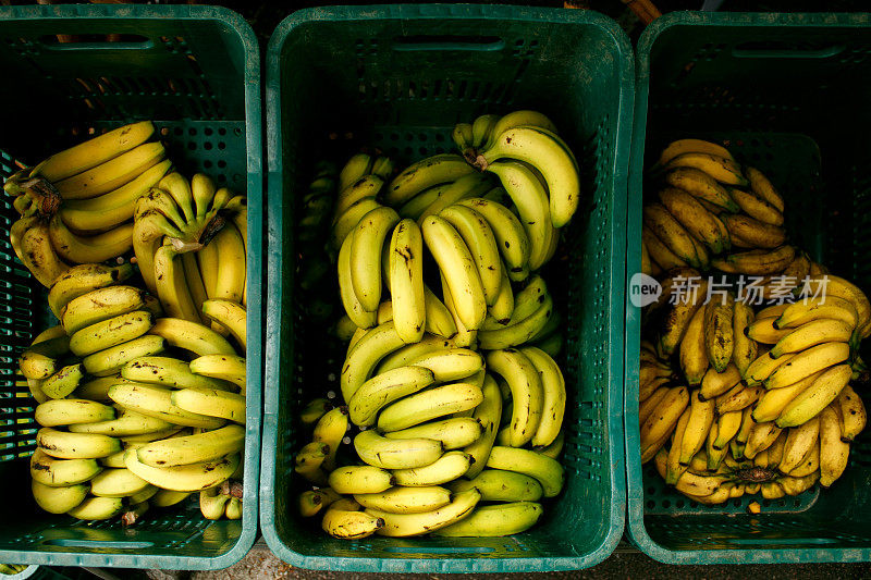 绿色和黄色的香蕉。