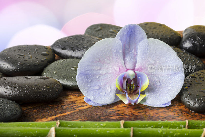 水疗概念-黑色按摩石，兰花花和竹茎在散焦灯光的背景