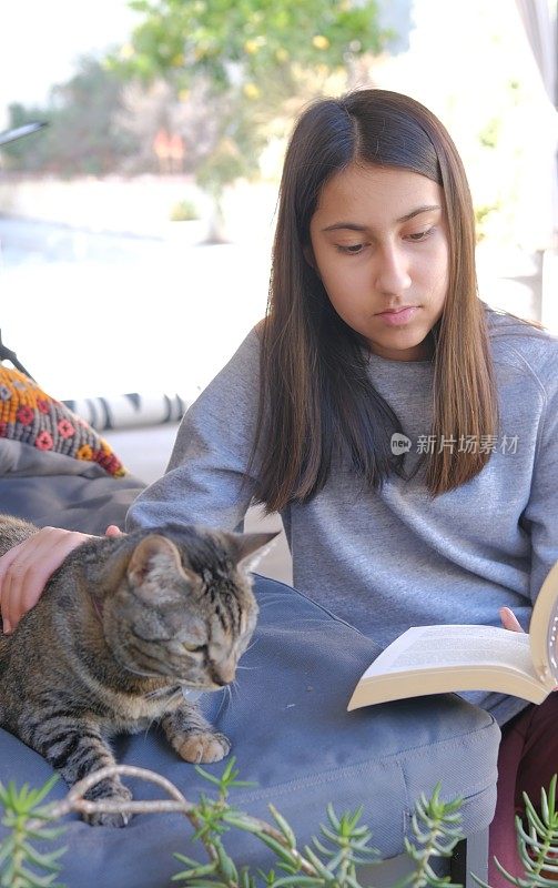 一个十几岁的女孩一边看书一边抚摸着猫