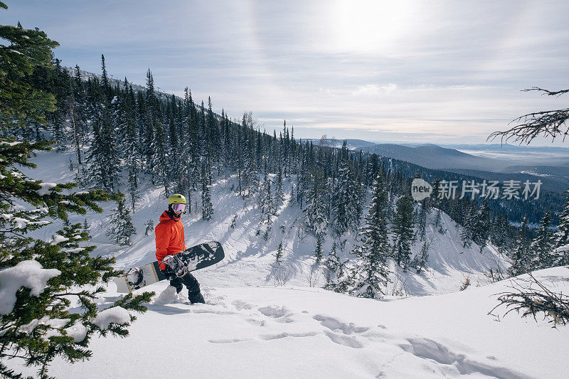 滑雪板自由骑手步行滑雪旅游在森林，野生山区，冬季阳光灿烂的一天