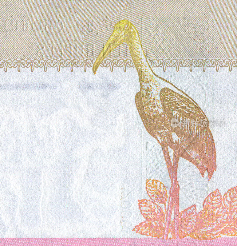 斯里兰卡钞票上的鸟图案设计