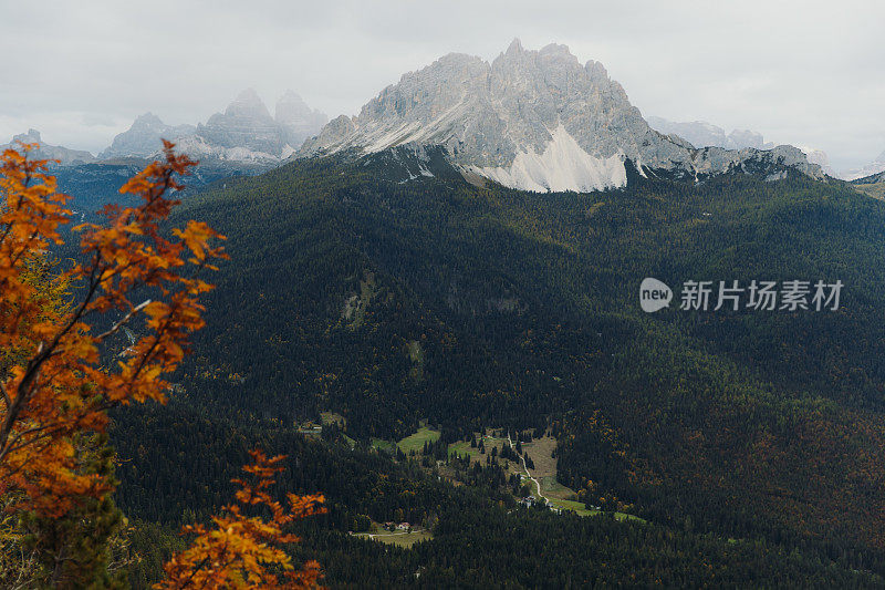 高山荒野的秋景