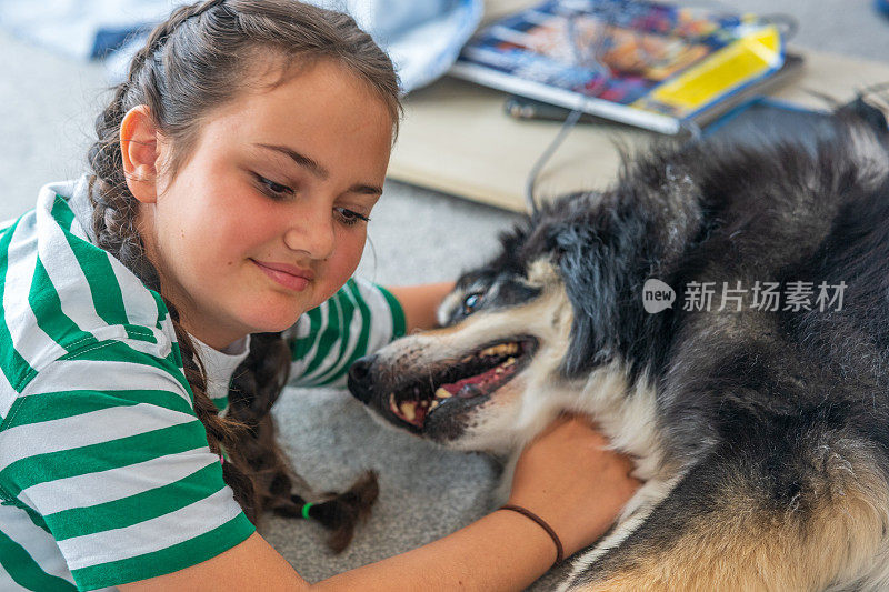 十几岁的女孩和博德牧羊犬