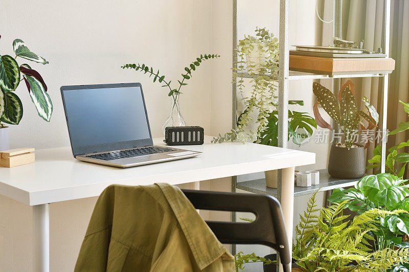 家庭办公室装饰绿色自然植物，工作空间和笔记本电脑在桌子上，人工室内植物为家庭和客厅室内。