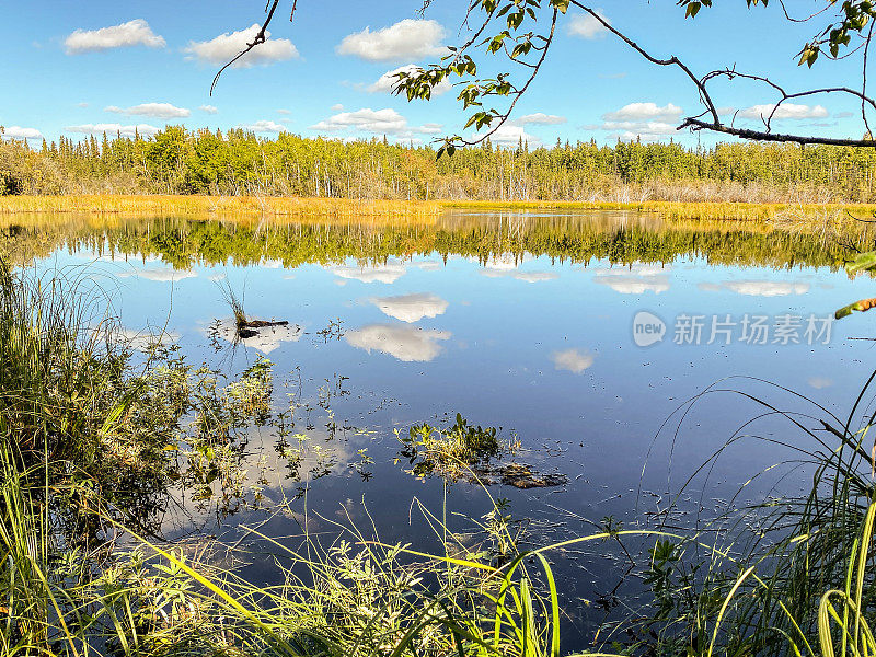 带有反射的秋季场景