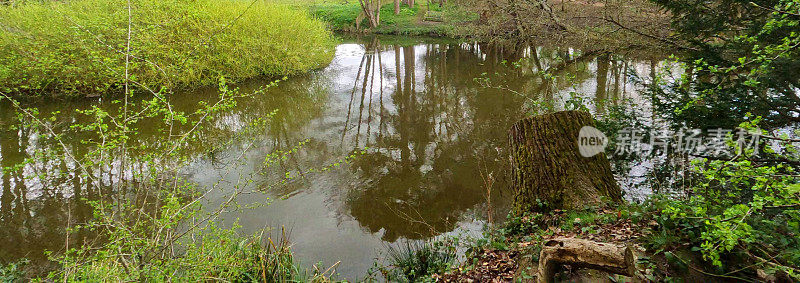 水仙花湖，春树，阳光，风景秀丽，风景一般，季节路巷乡村