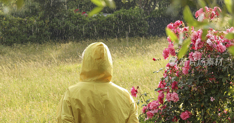 女人拥抱着细雨，在郁郁葱葱的草地上