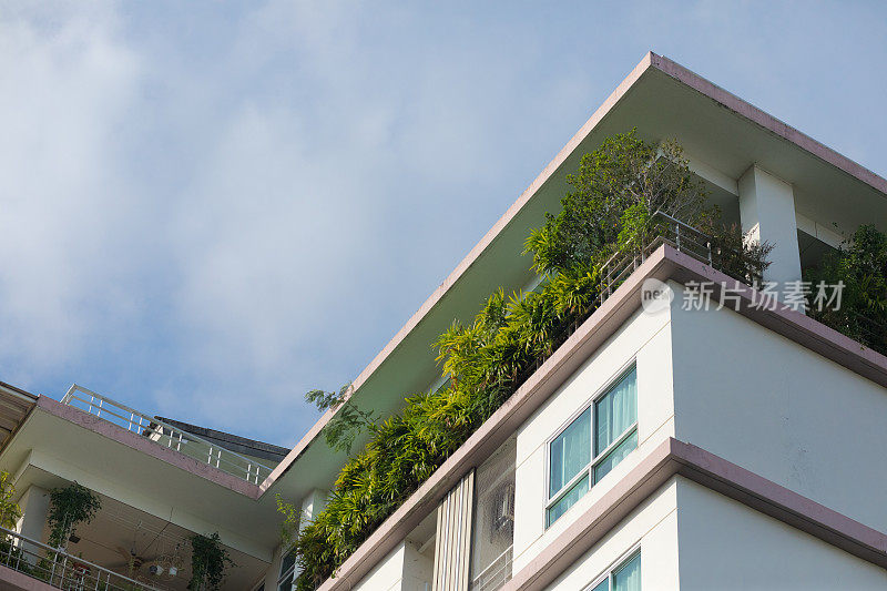曼谷Chatuchak公寓的屋顶花园和树木
