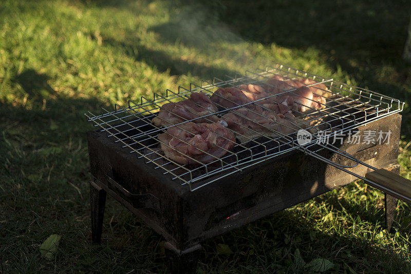 烧烤鸡肉