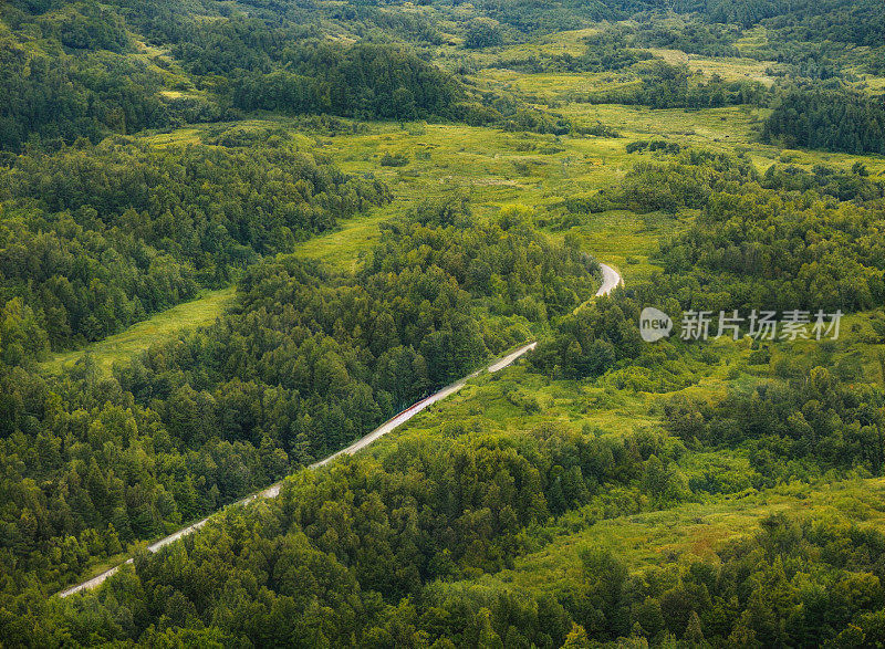 公路穿越森林