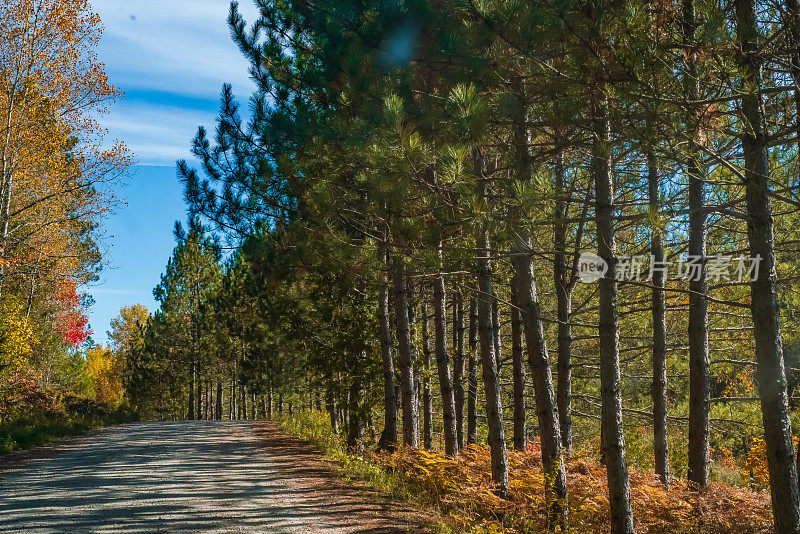 秋景-沙砾土路，彩树蓝天