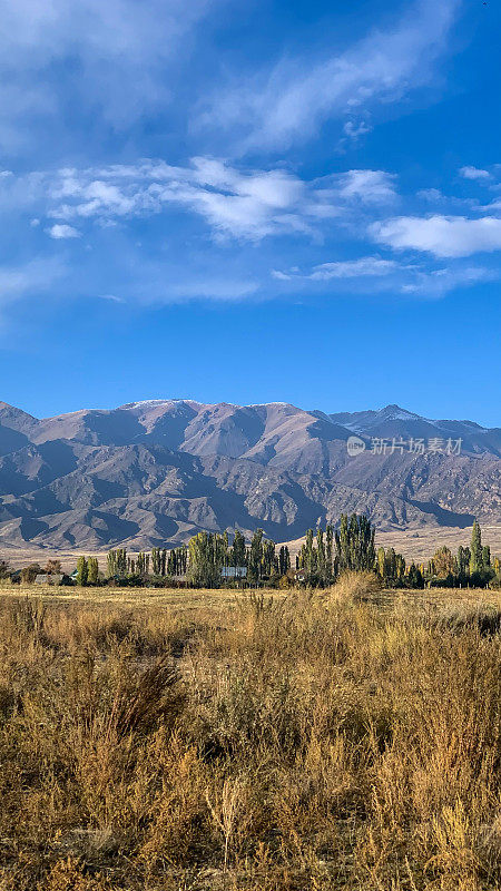 前景是山脉和金色田野的风景