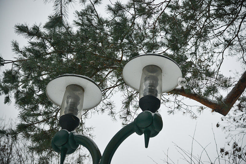绿色的金属灯笼，两盏巨大的灯，白色的屋顶，在一棵绿色的松树下，映衬着冬天的白色天空。
