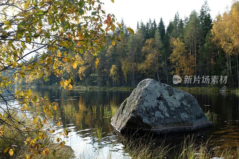 芬兰湖泊自然景观森林荒野秋天