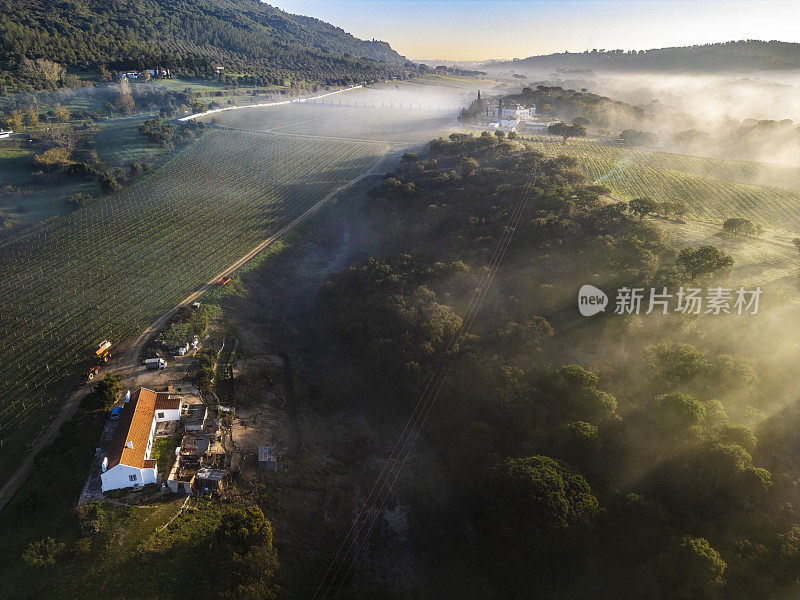 乡村风景中的雾