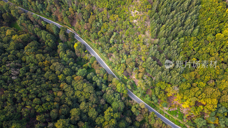 蜿蜒的道路穿过秋天的森林