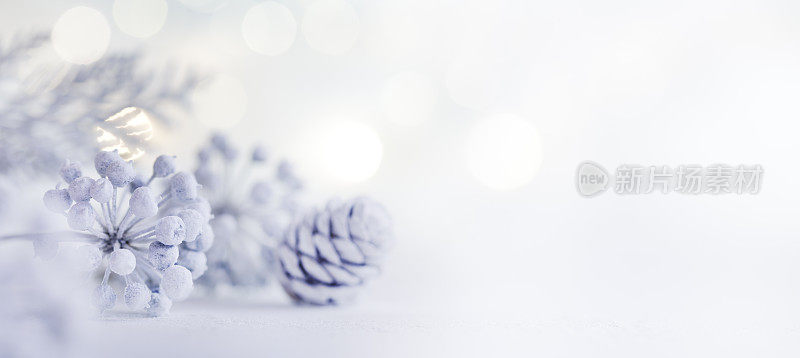 冬天用雪草做成的装饰品