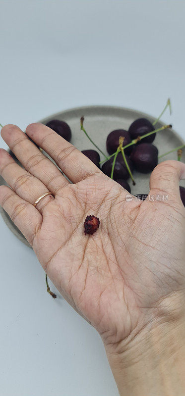 手拿着塔斯马尼亚樱桃果实的种子，背景是塔斯马尼亚樱桃果实盛在一个小盘子里，孤立在白色的背景上。