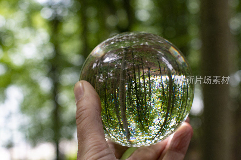 手里握着一个充满自然的水晶球。表现出内在和外在的自然，记得爱护自然。准备演示材料。