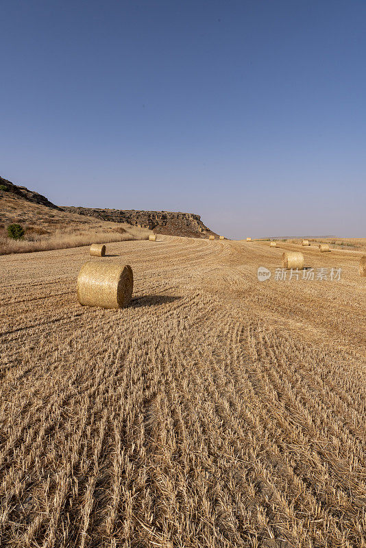 在晴朗的蓝天下，谷物作物线在收获的田野和平顶小山