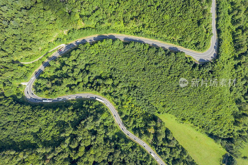 森林中蜿蜒道路上的交通，鸟瞰图