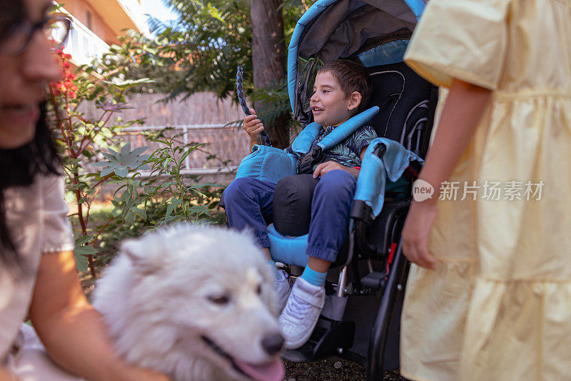 萨摩耶犬帮助小男孩接受治疗