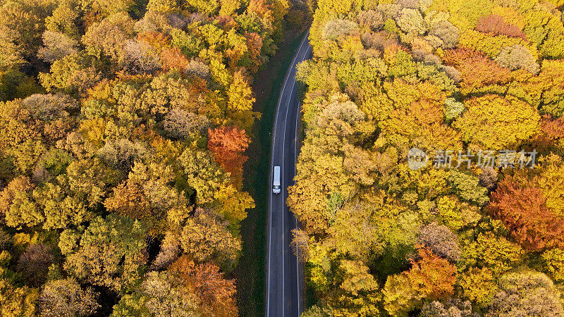 高速公路上的卡车驶过森林景观