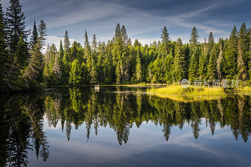 在加拿大阿尔冈昆省公园的一个湖上划独木舟