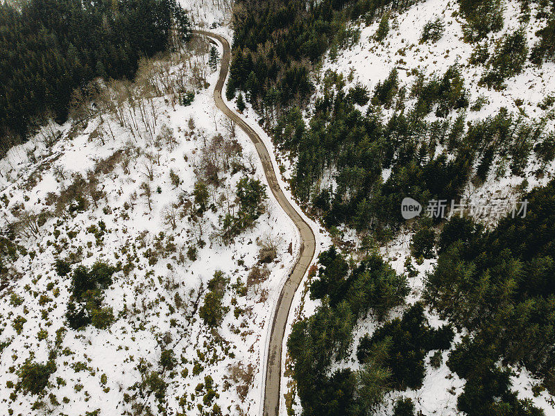 森林中道路的鸟瞰图，两侧有雪