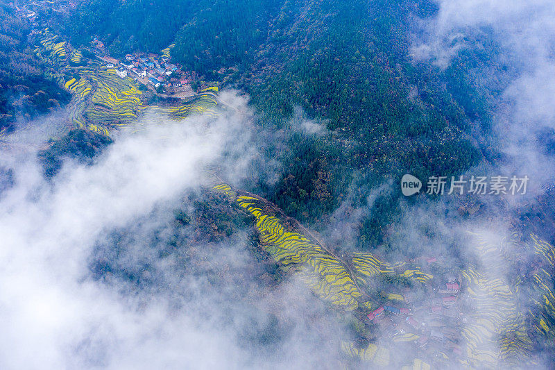 山景，大雾弥漫